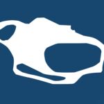 RCT LOGO